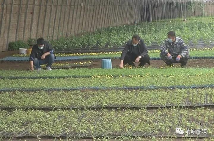微信图片_20200807145507.jpg 微信图片_20200807145507.jpg
